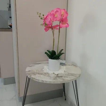 公寓 Wh - Dolce - Bilocale - 5 Minuti Dal Centro - Parcheggio Gratuito - Wifi *